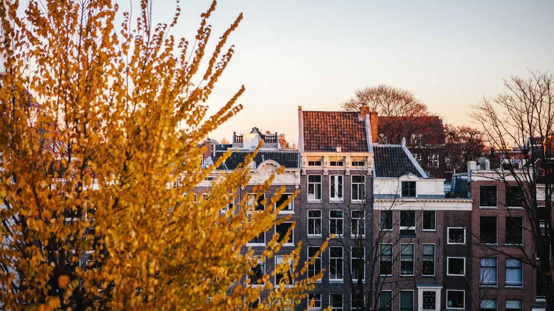 *****  The Dylan Amsterdam - The Leading Hotels Of The World Netherlands
