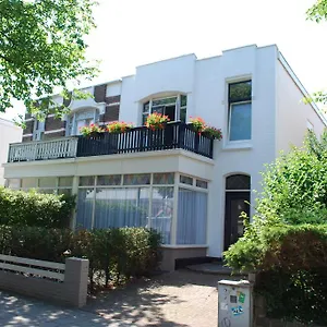Picco Niederlande