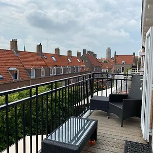 Divi Divi Niederlande